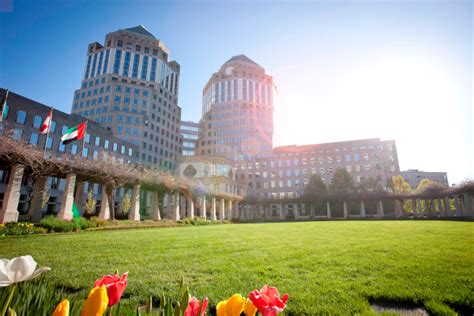fares sayegh p&g|Looking at how P&G stays on top of its game.